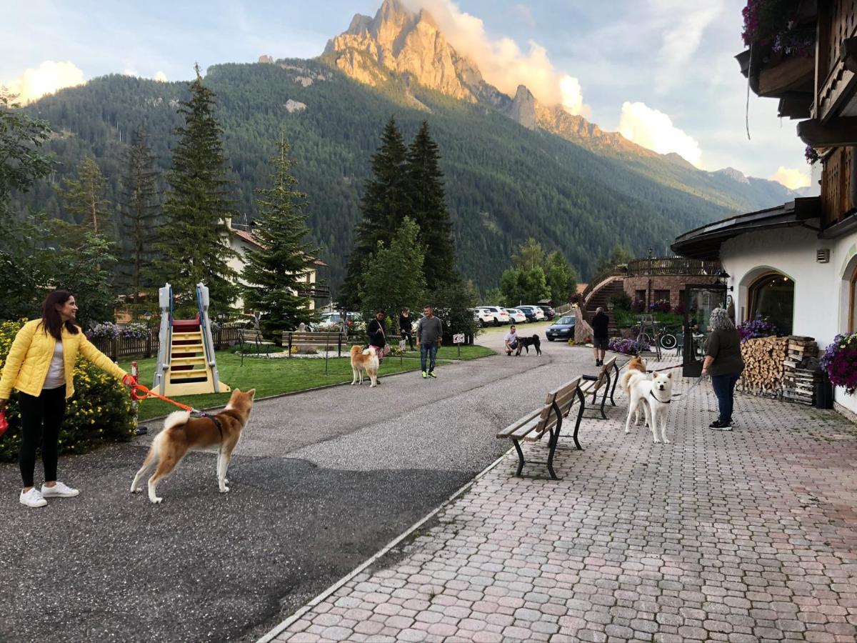 Alpine Touring Hotel-petfriendly Pozza di Fassa Eksteriør bilde